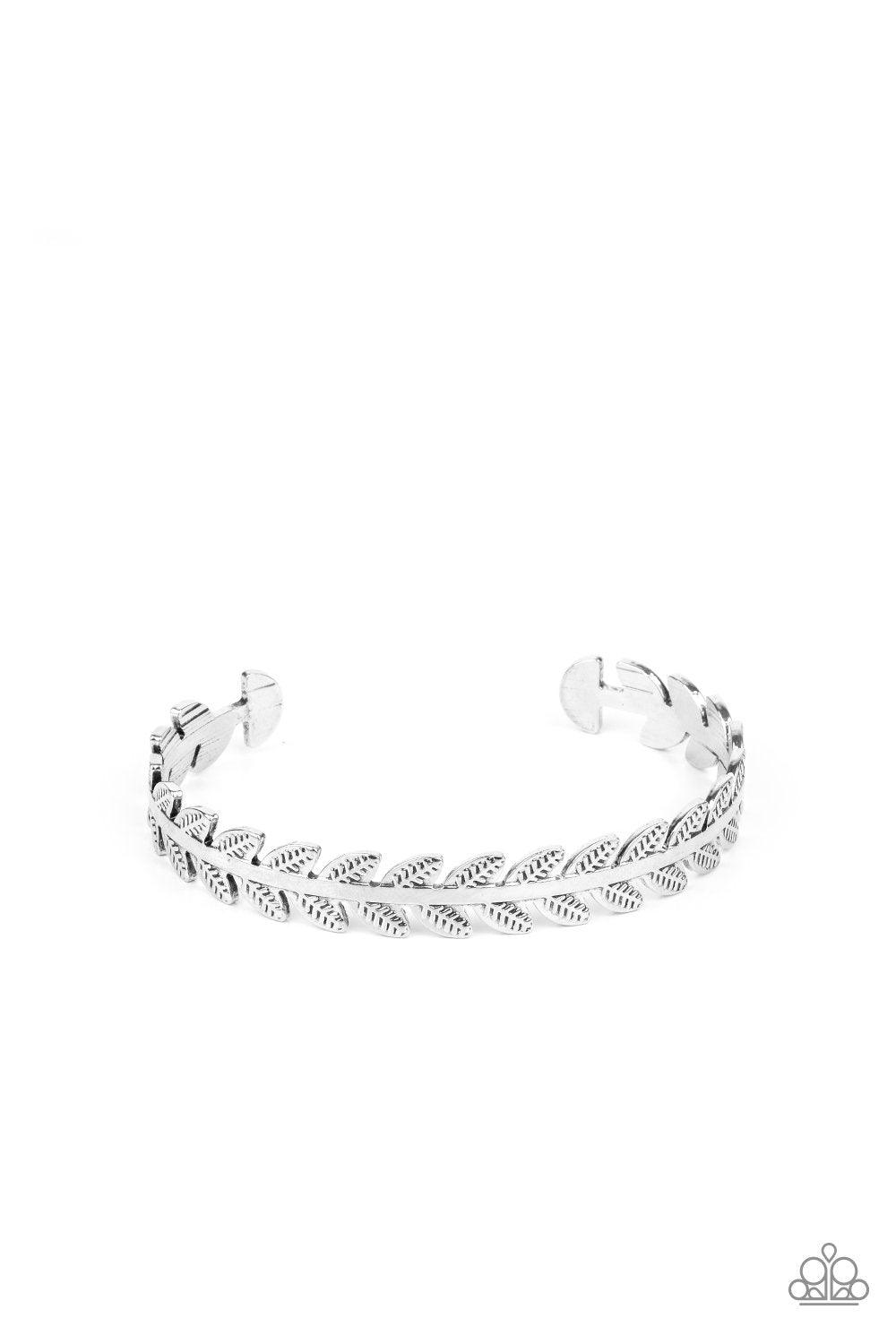Paparazzi Accessories-Laurel Groves - Silver Bracelet