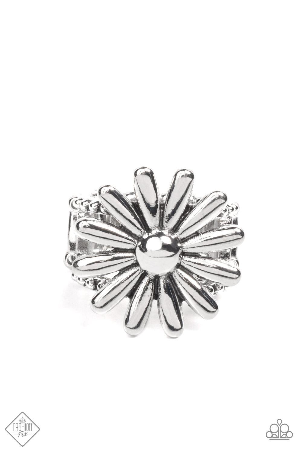 GROWING Steady Silver Ring - Jewelry by Bretta