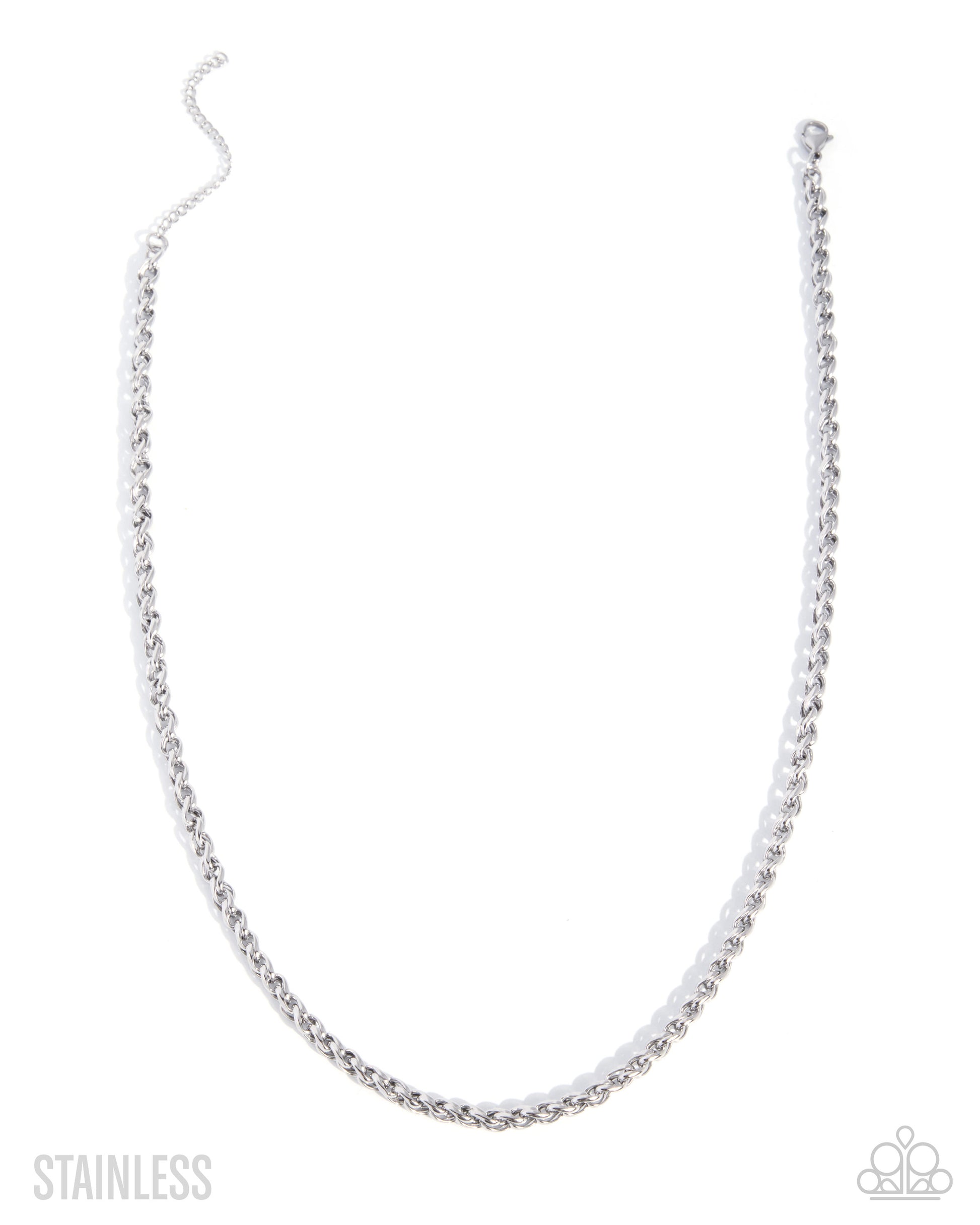 A silver stainless steel chain necklace with a curb link design, displayed in a U-shape against a plain white background. Text overlays in the corners read 'STAINLESS' on the bottom left and the Paparazzi logo on the bottom right.