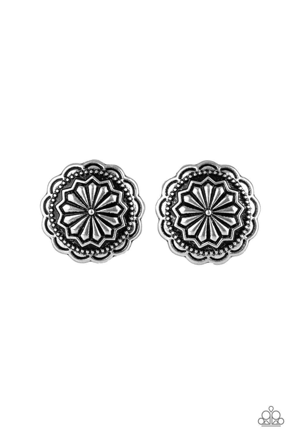 Paparazzi Accessories-Durango Desert - Silver Earrings