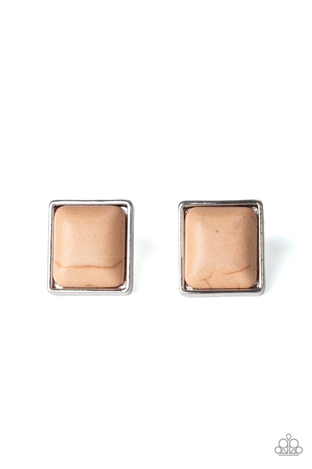 Paparazzi Accessories-Eco Elegance - Brown Earrings