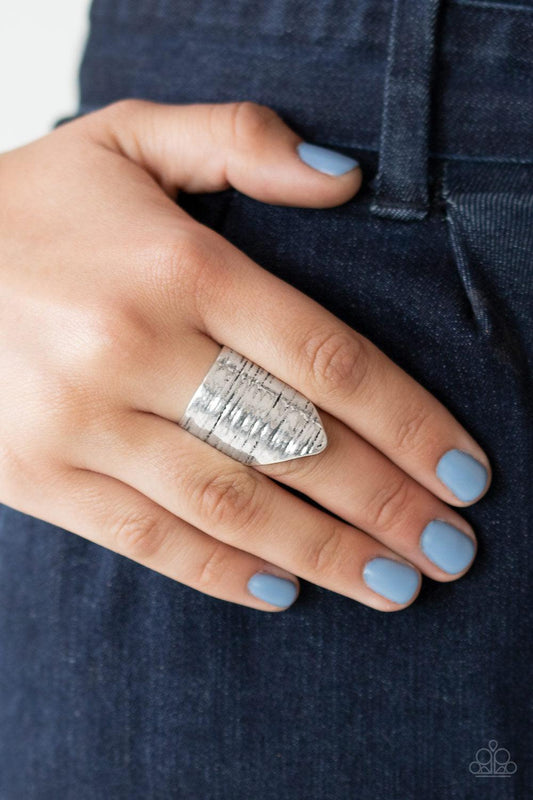 Paparazzi Accessories-Make Your Mark - Silver Ring