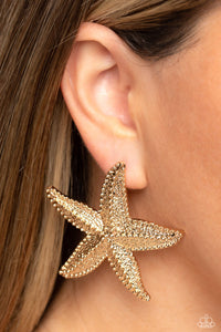 Starfish Season Gold Starfish Earrings  - Jewelry by Bretta